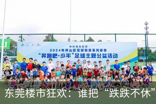 东莞楼市狂欢：谁把“跌跌不休”的房子推上了云端？