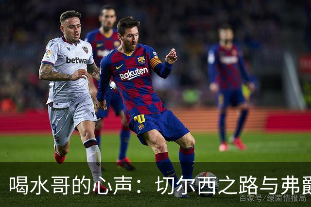 喝水哥的心声：切尔西之路与弗爵的合同怪事