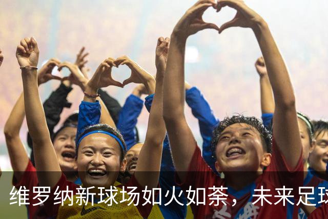 维罗纳新球场如火如荼，未来足球的家园要来了！